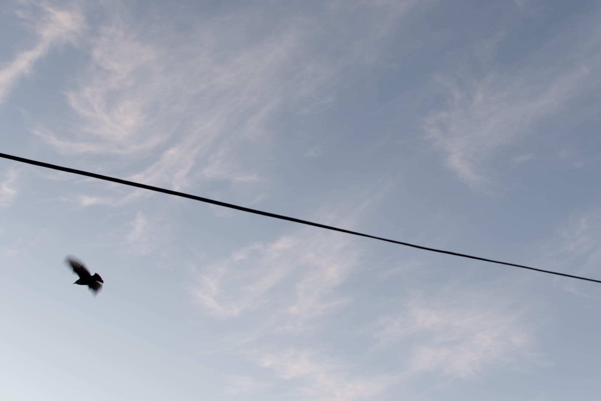 Bird silhouette flying near power line against blue sky with wispy clouds.
