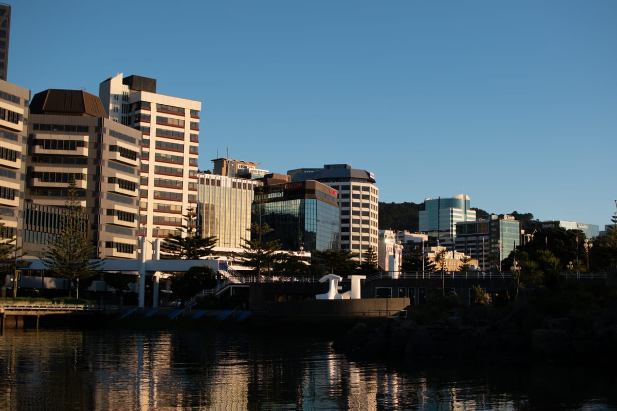 2025 Mayoral Candidates Issues Index