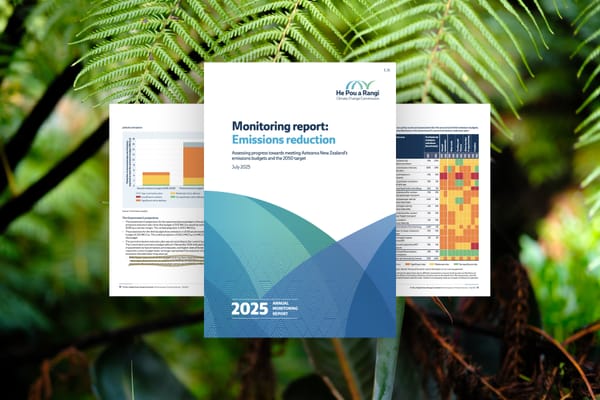 Luxon risks a broken promise on pollution