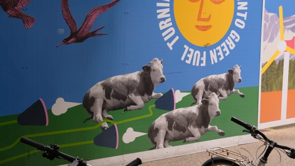 The Coalition is trashing our climate targets