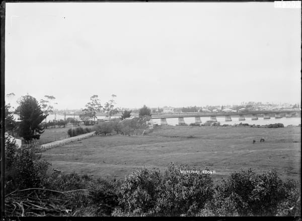 AA Insurance is temporarily halting new insurance in Westport